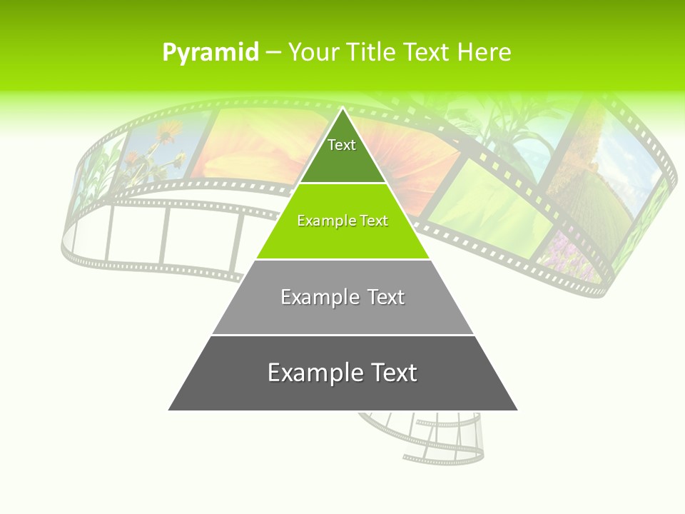 Conservation Green Photographic PowerPoint Template