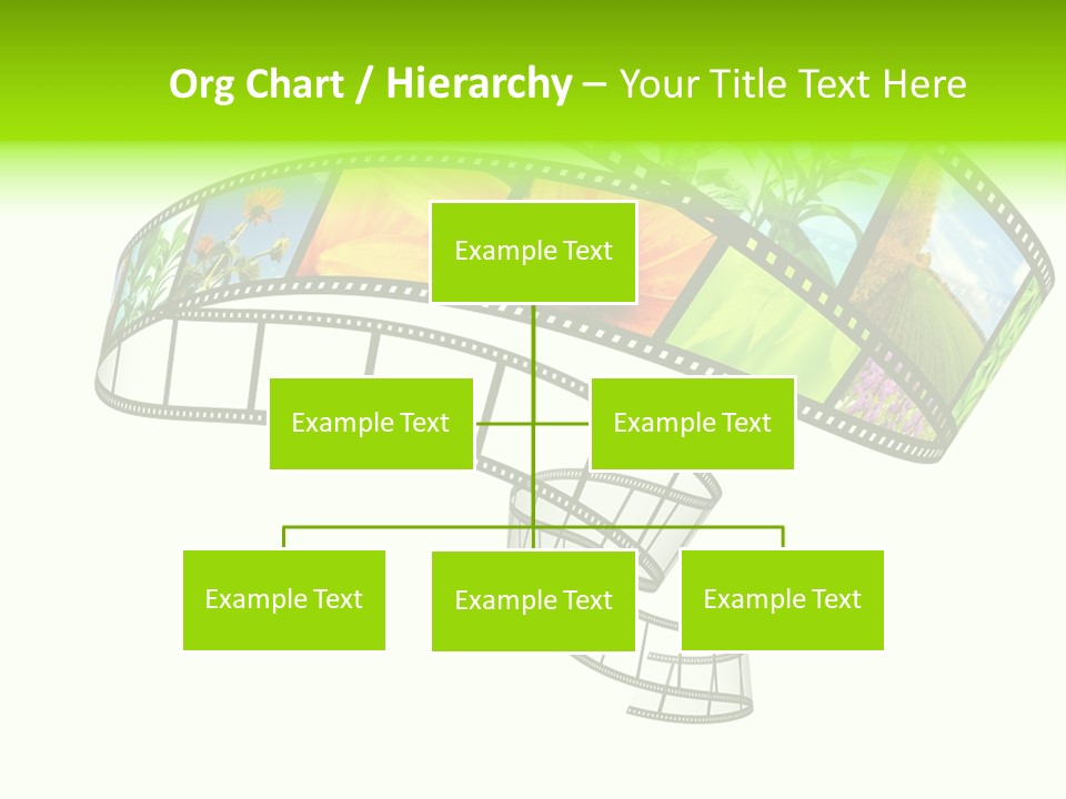 Conservation Green Photographic PowerPoint Template