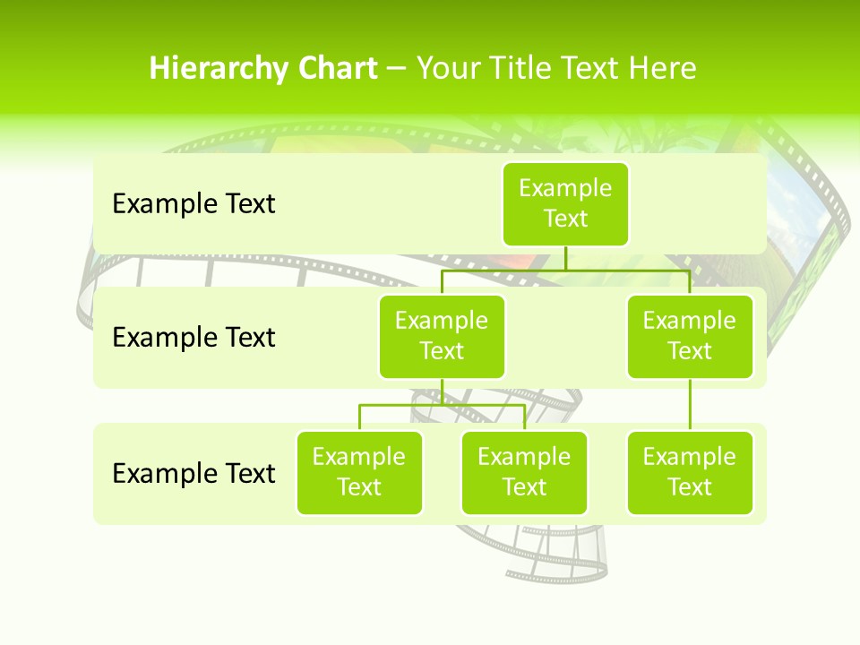 Conservation Green Photographic PowerPoint Template