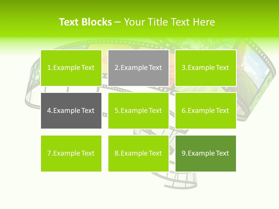 Conservation Green Photographic PowerPoint Template