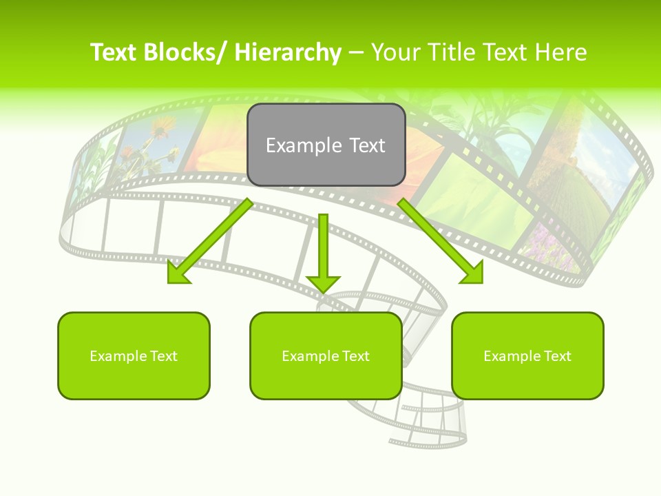 Conservation Green Photographic PowerPoint Template
