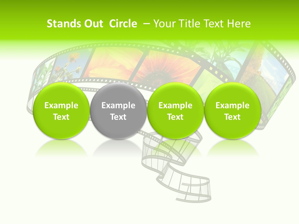 Conservation Green Photographic PowerPoint Template
