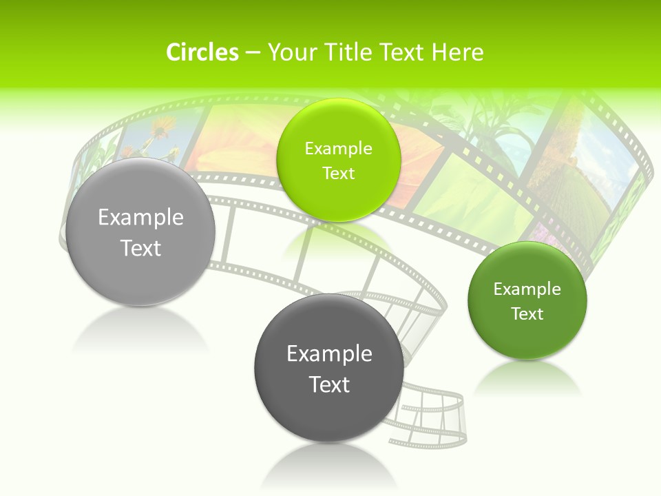 Conservation Green Photographic PowerPoint Template