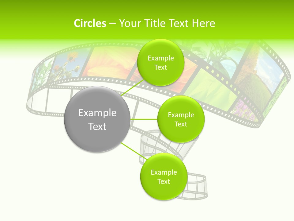Conservation Green Photographic PowerPoint Template
