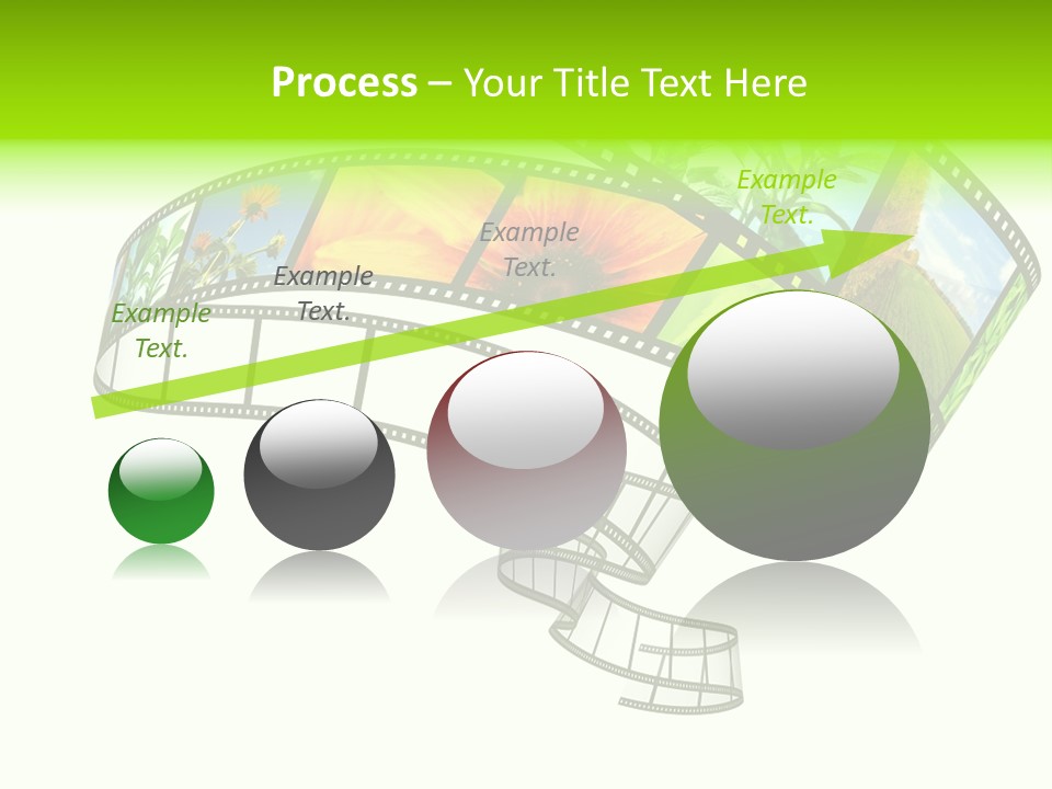 Conservation Green Photographic PowerPoint Template