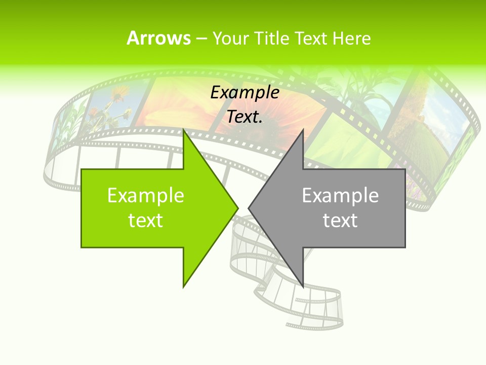 Conservation Green Photographic PowerPoint Template