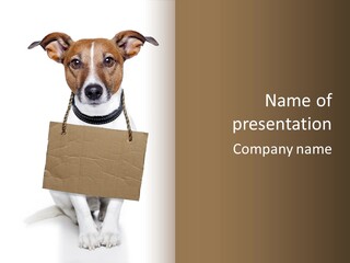 Paper Animal Beautiful PowerPoint Template