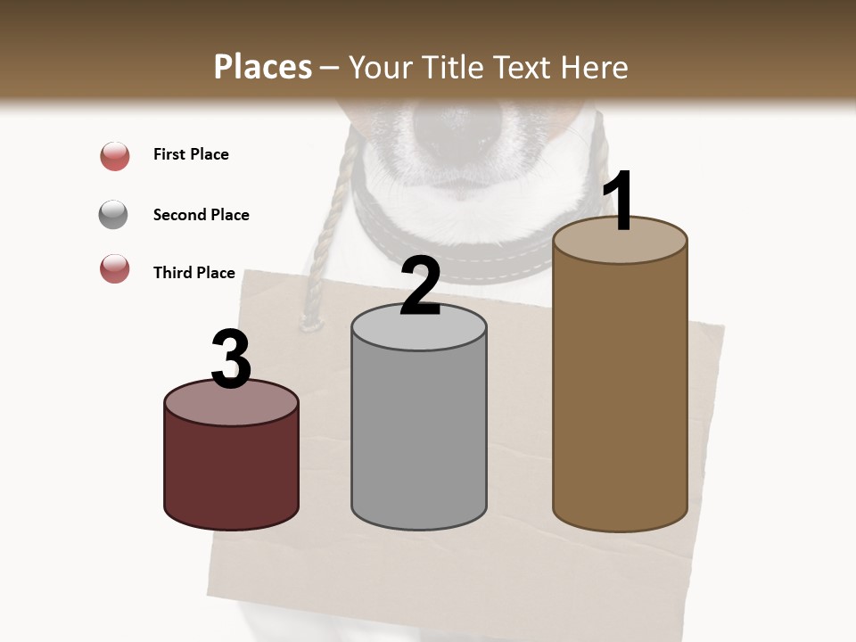 Paper Animal Beautiful PowerPoint Template