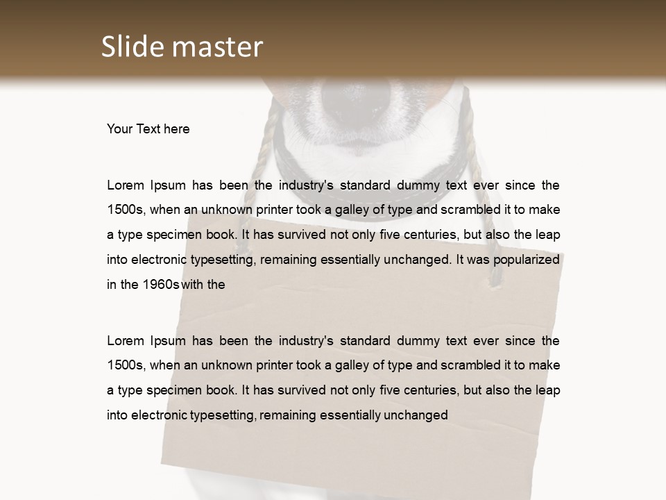 Paper Animal Beautiful PowerPoint Template