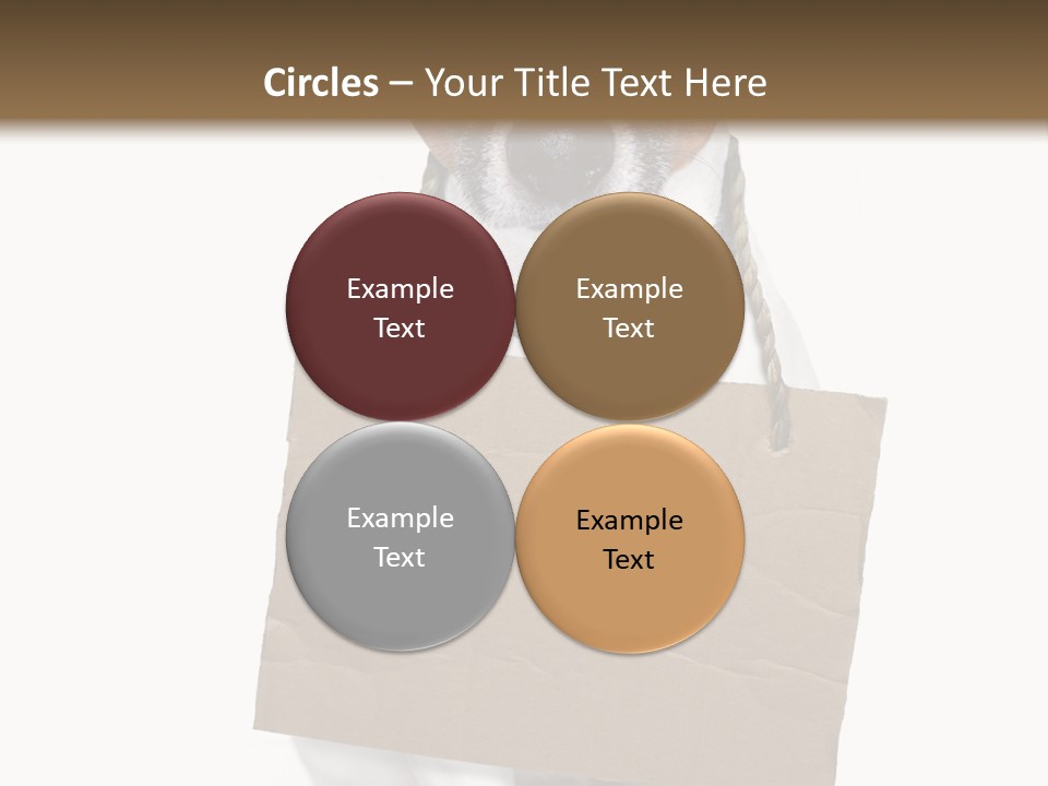 Paper Animal Beautiful PowerPoint Template