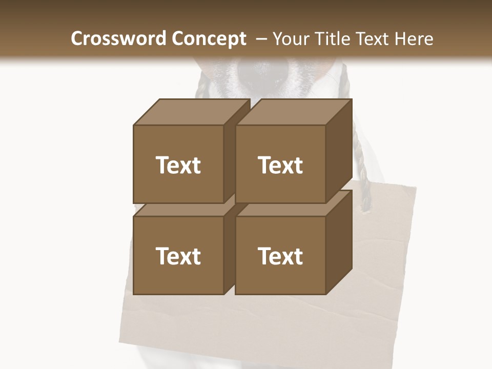 Paper Animal Beautiful PowerPoint Template