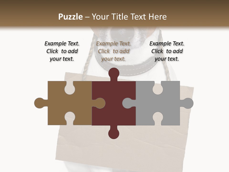 Paper Animal Beautiful PowerPoint Template