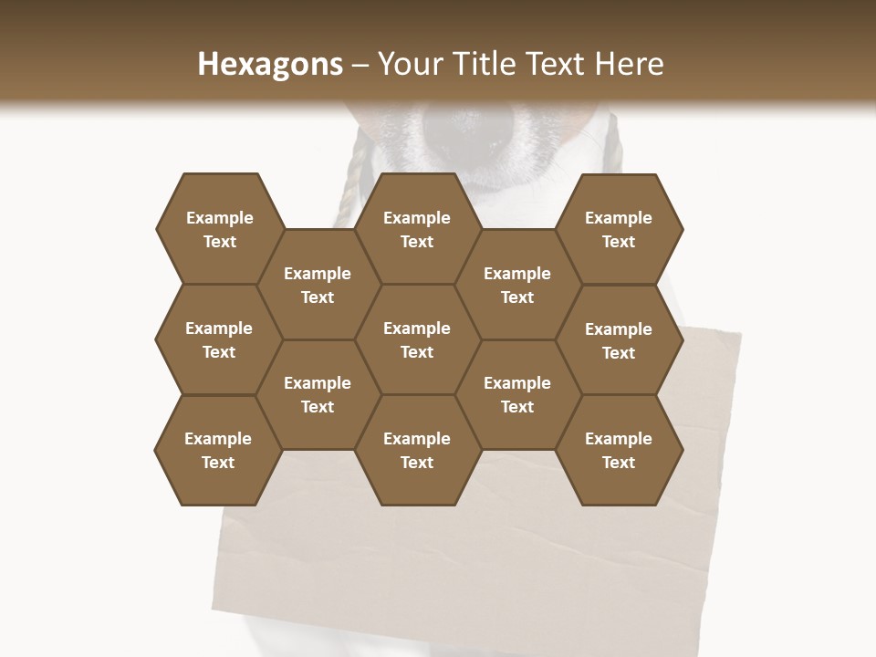 Paper Animal Beautiful PowerPoint Template