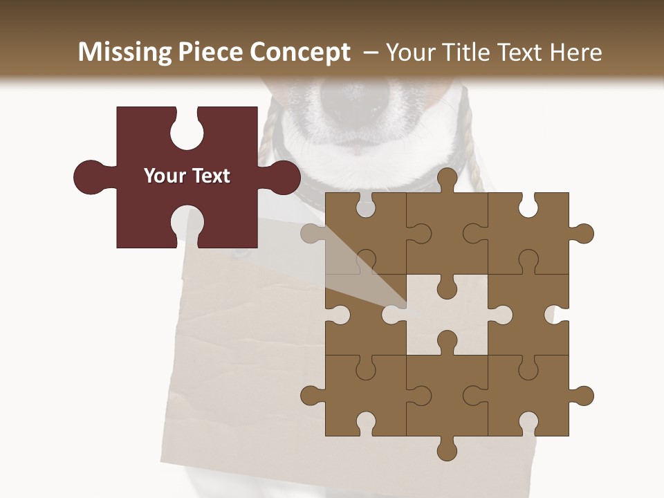 Paper Animal Beautiful PowerPoint Template