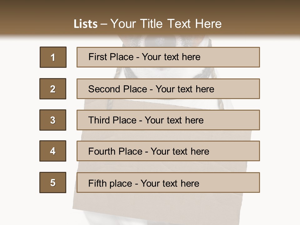 Paper Animal Beautiful PowerPoint Template