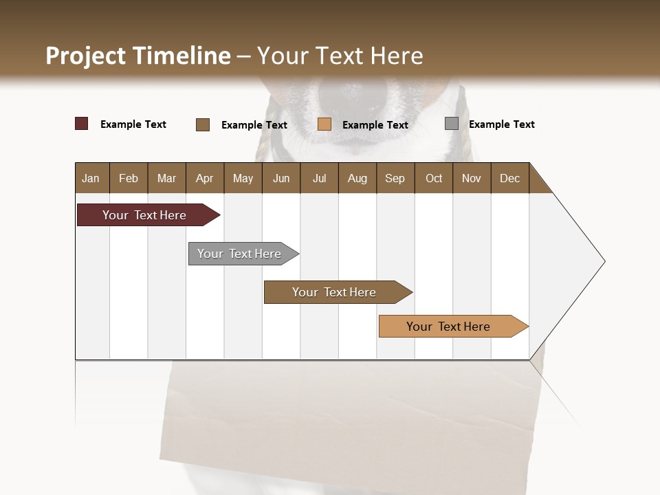 Paper Animal Beautiful PowerPoint Template