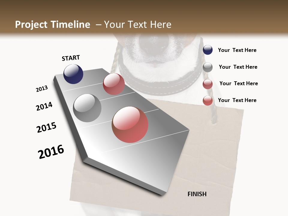 Paper Animal Beautiful PowerPoint Template