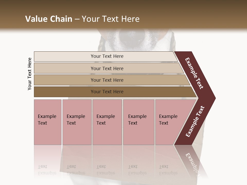 Paper Animal Beautiful PowerPoint Template