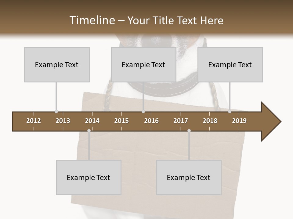 Paper Animal Beautiful PowerPoint Template