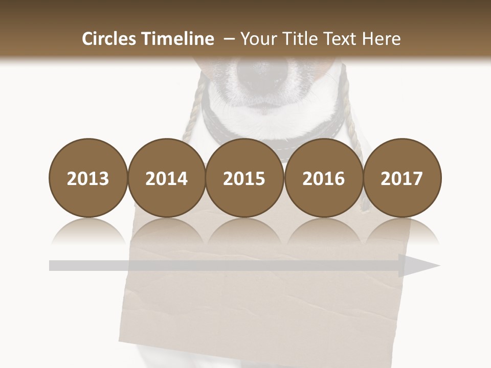 Paper Animal Beautiful PowerPoint Template