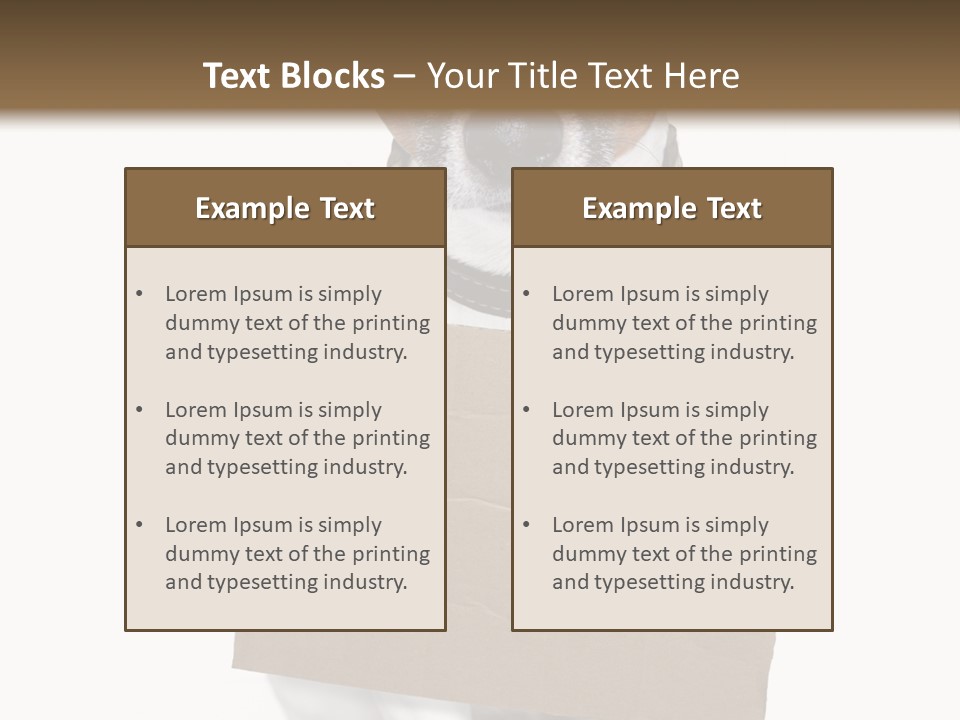 Paper Animal Beautiful PowerPoint Template