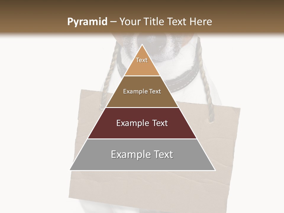 Paper Animal Beautiful PowerPoint Template