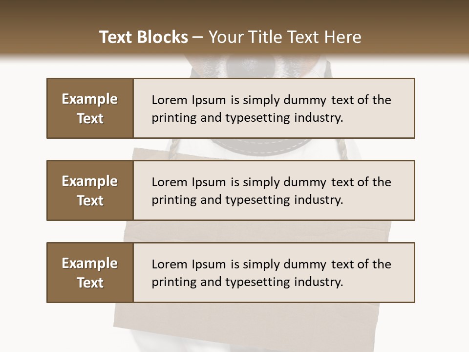 Paper Animal Beautiful PowerPoint Template