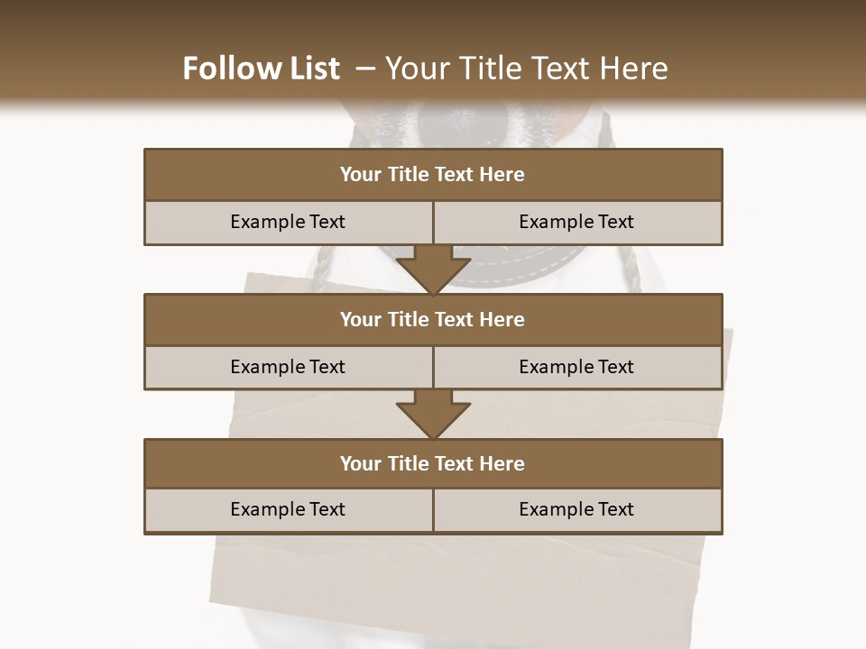 Paper Animal Beautiful PowerPoint Template