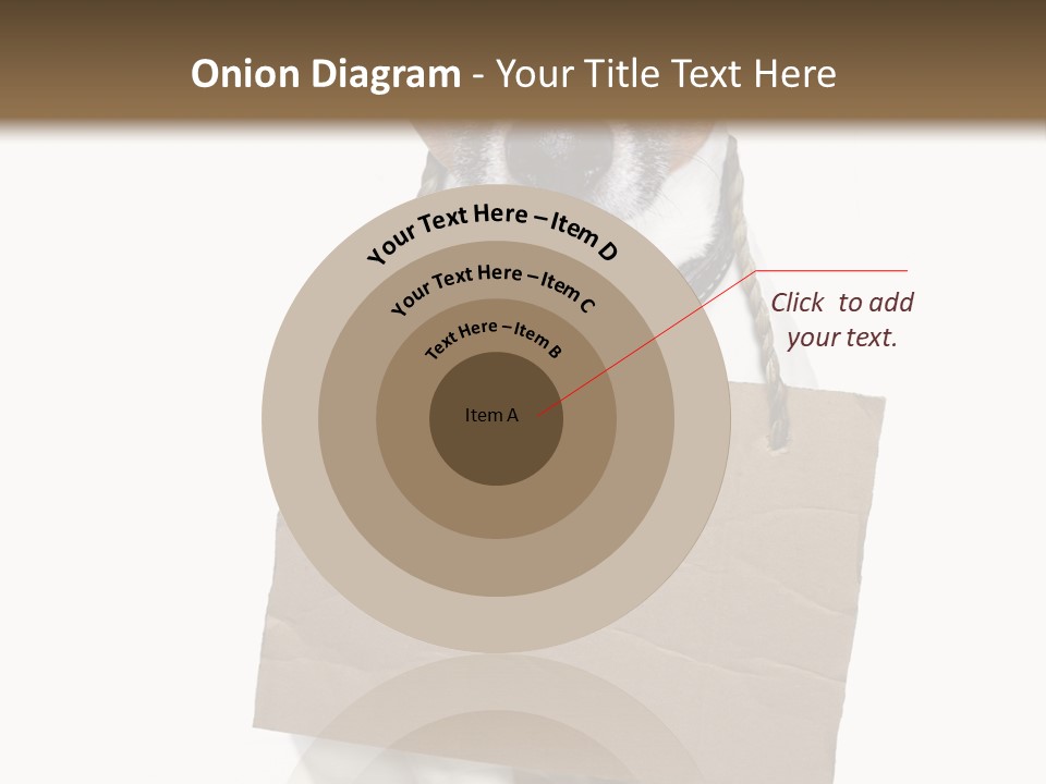 Paper Animal Beautiful PowerPoint Template