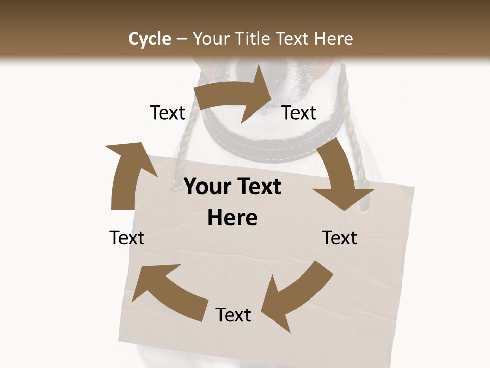 Paper Animal Beautiful PowerPoint Template