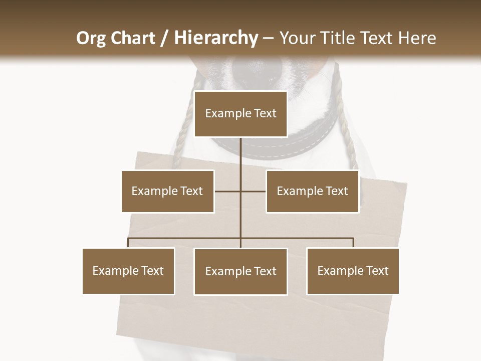 Paper Animal Beautiful PowerPoint Template