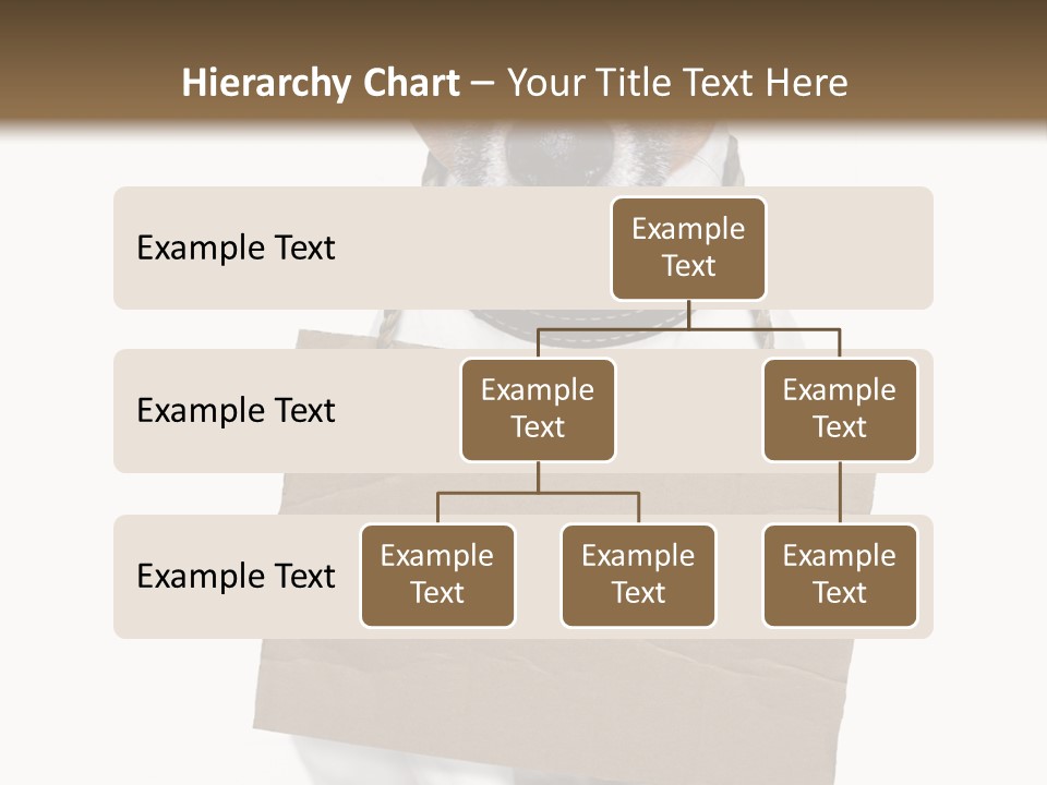 Paper Animal Beautiful PowerPoint Template