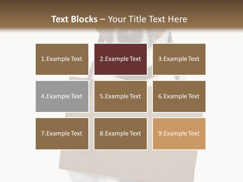 Paper Animal Beautiful PowerPoint Template