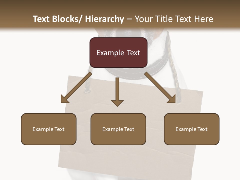 Paper Animal Beautiful PowerPoint Template