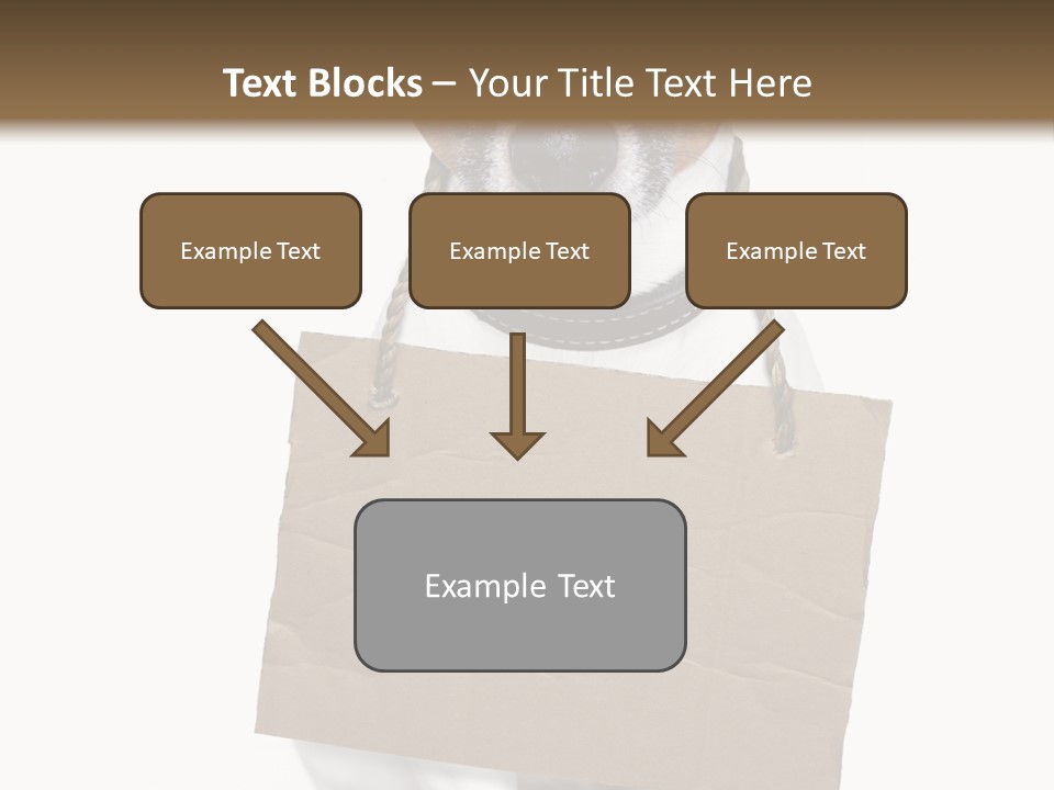 Paper Animal Beautiful PowerPoint Template