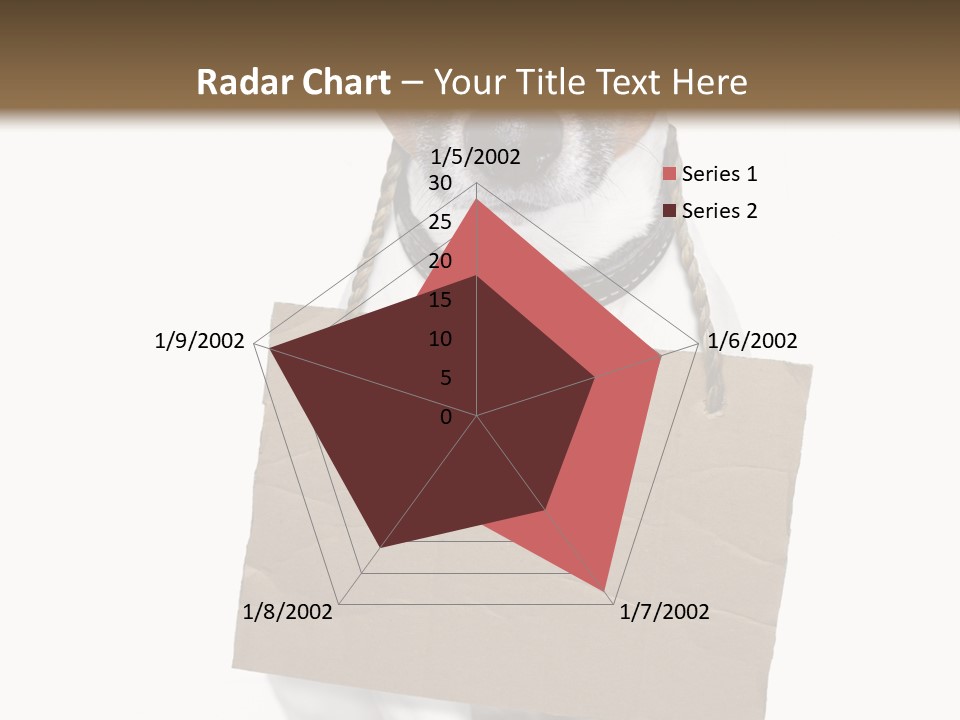 Paper Animal Beautiful PowerPoint Template