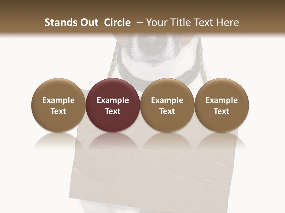 Paper Animal Beautiful PowerPoint Template