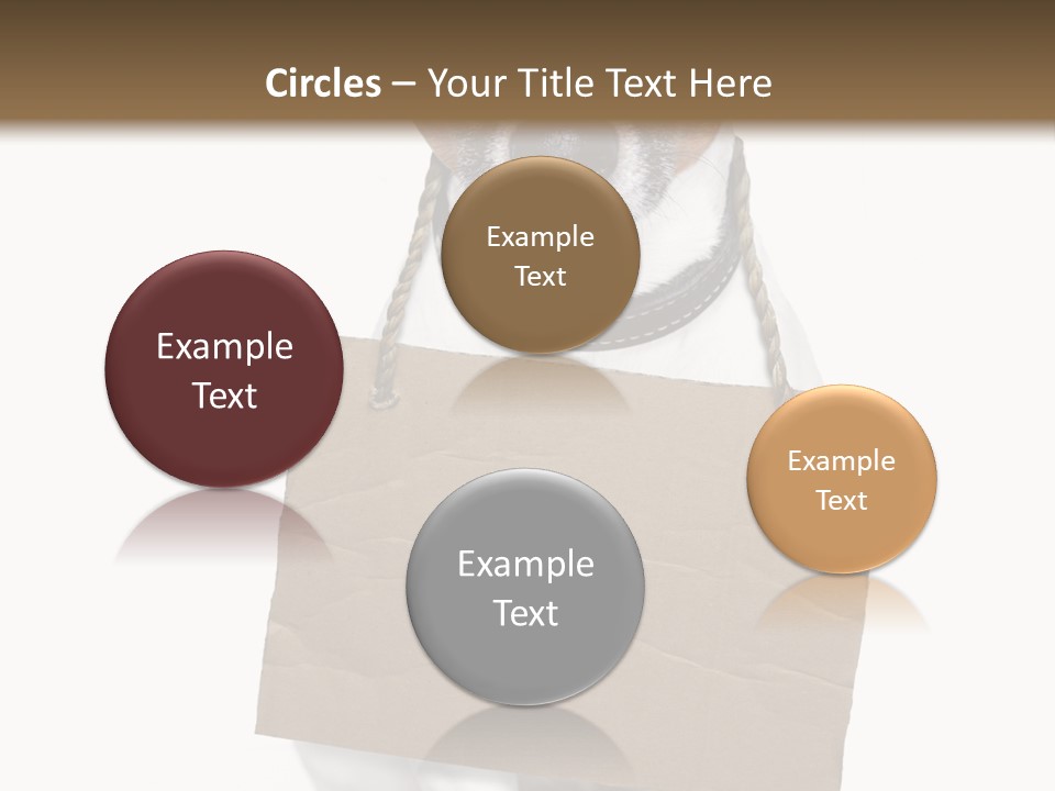 Paper Animal Beautiful PowerPoint Template