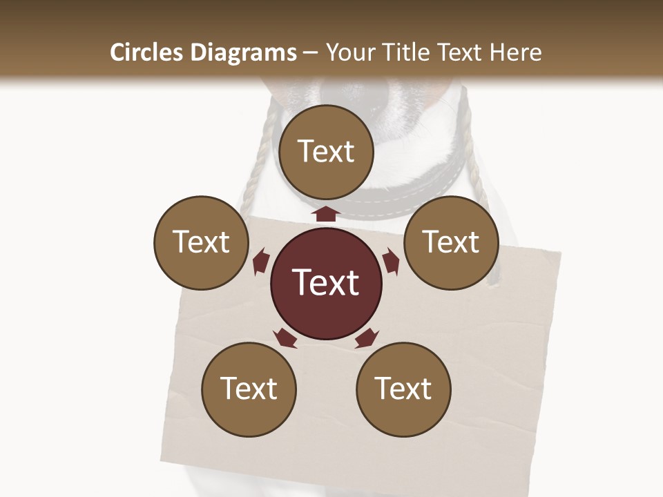 Paper Animal Beautiful PowerPoint Template