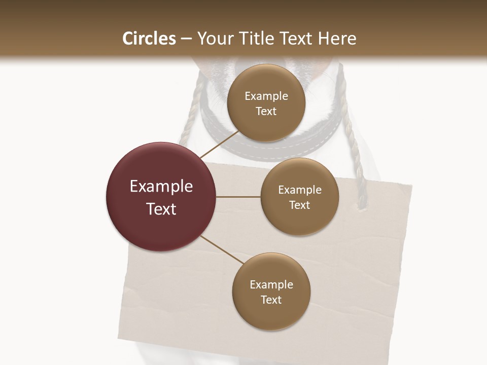 Paper Animal Beautiful PowerPoint Template