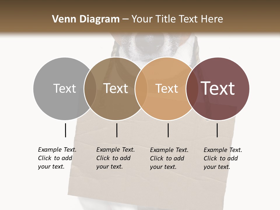 Paper Animal Beautiful PowerPoint Template