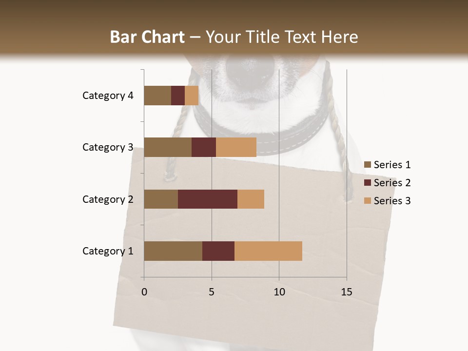 Paper Animal Beautiful PowerPoint Template