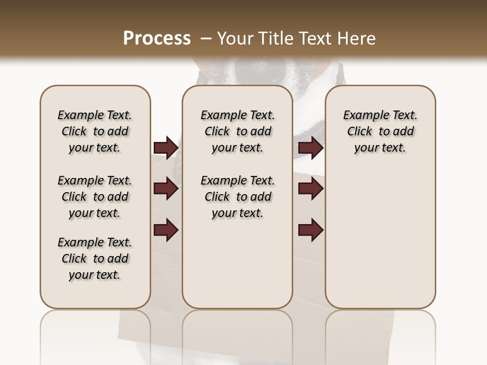 Paper Animal Beautiful PowerPoint Template