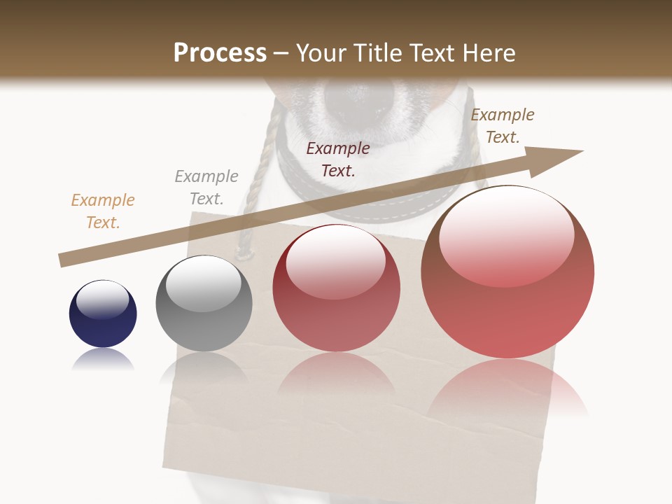 Paper Animal Beautiful PowerPoint Template