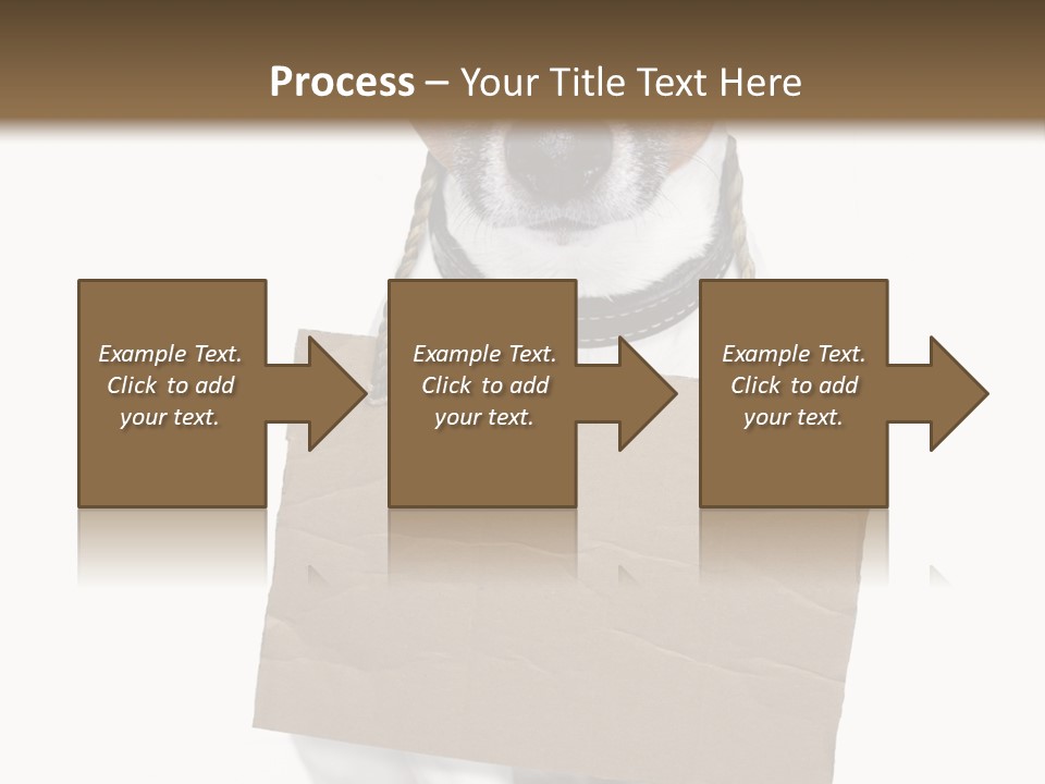 Paper Animal Beautiful PowerPoint Template