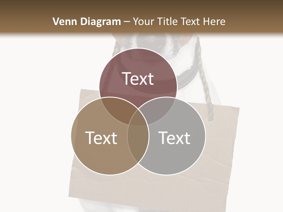 Paper Animal Beautiful PowerPoint Template