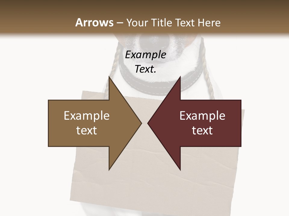 Paper Animal Beautiful PowerPoint Template