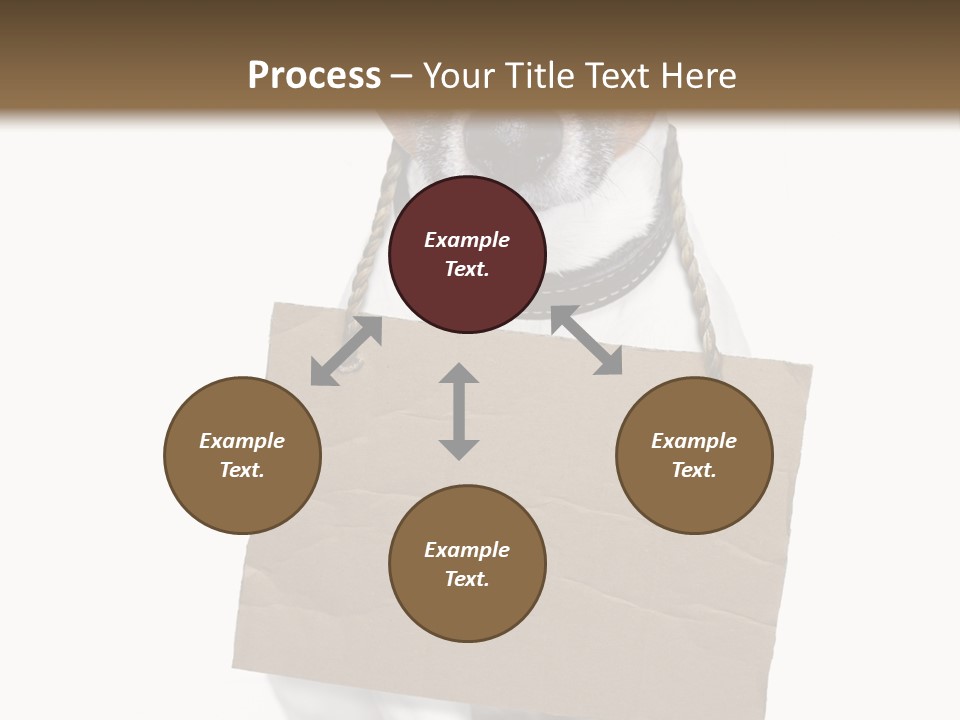 Paper Animal Beautiful PowerPoint Template