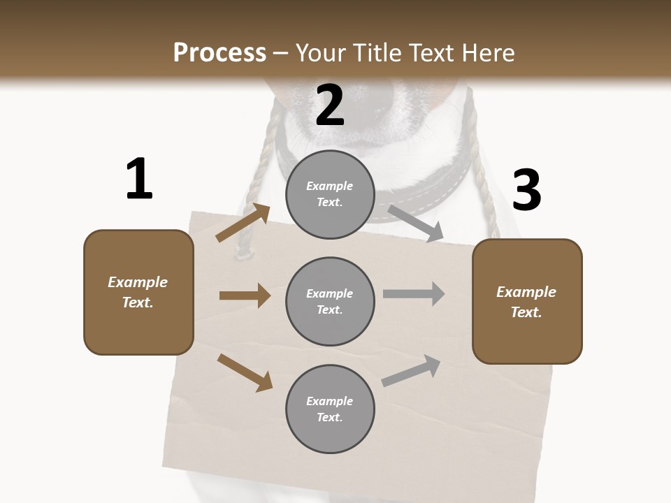 Paper Animal Beautiful PowerPoint Template