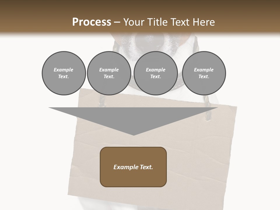 Paper Animal Beautiful PowerPoint Template